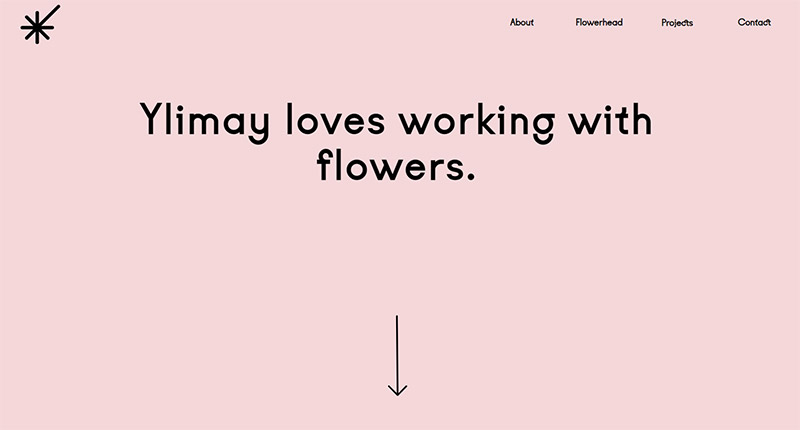 Pink Websites - Ylimay